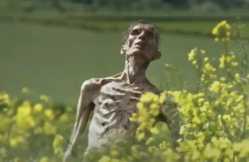 In the newly released trailer, viewers are confronted with a haunting image: Cillian Murphy's character, Jim, now among the infected. Credit: Sony