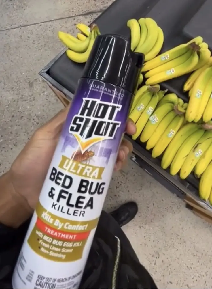 Smith recorded himself spraying the supermarket produce.  Credit: TikTok/@WolfieKahletti