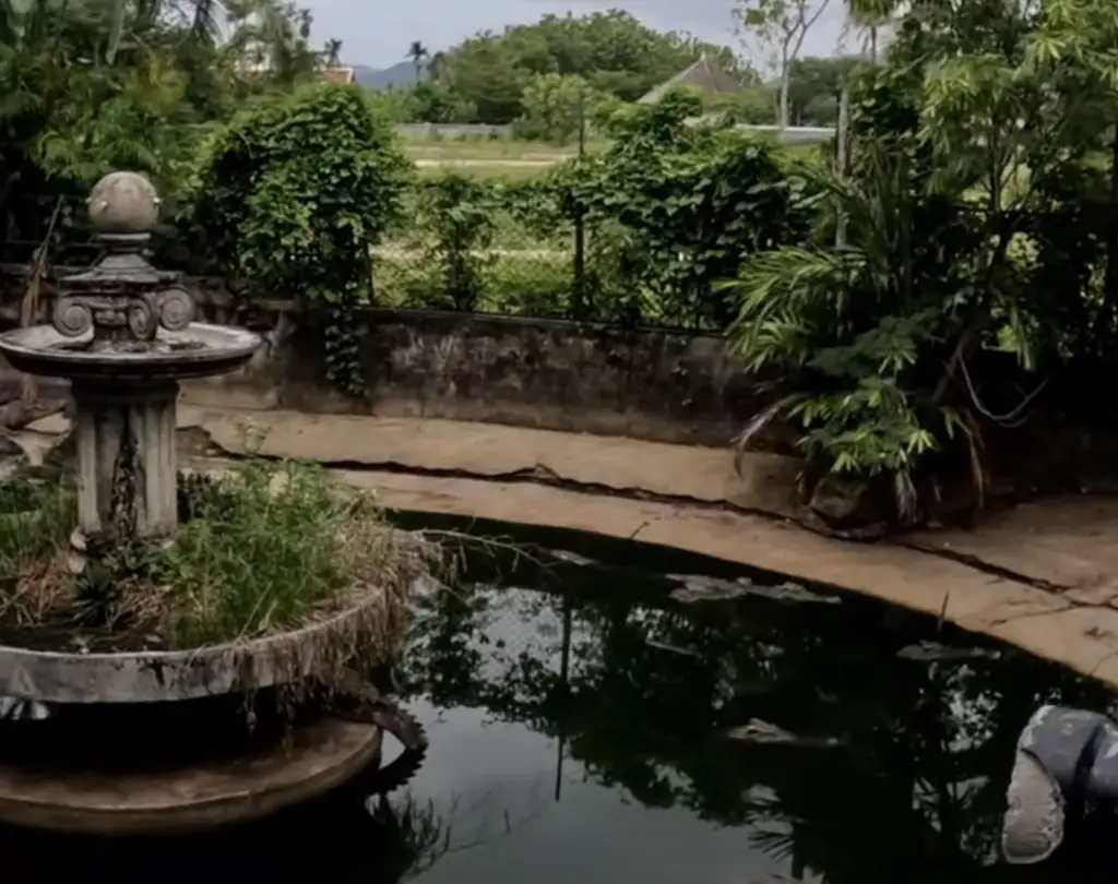 Man exploring abandoned zoo is stunned at what happens after throwing something into a pond