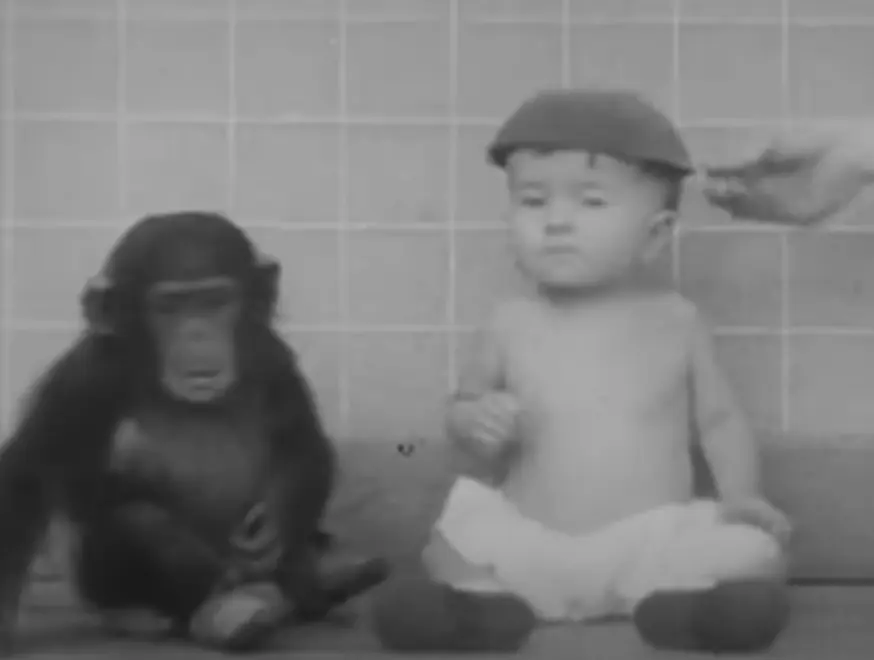 The pair were raised as siblings. Credit: AV Geeks / YouTube