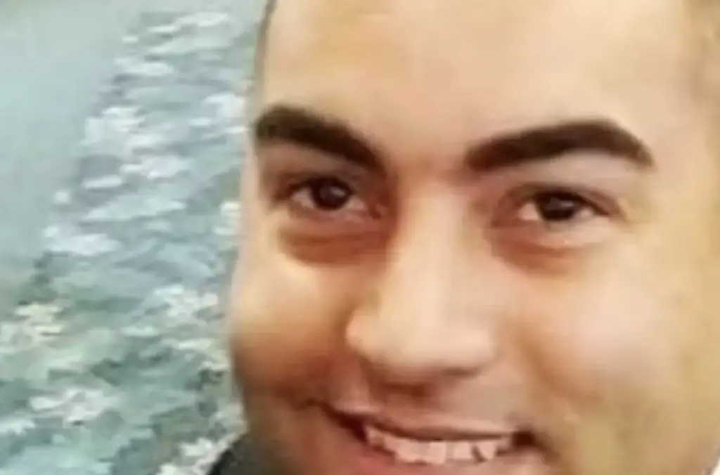 Flight data appears to show American Airlines 5342 pilots made final effort to save everyone onboard