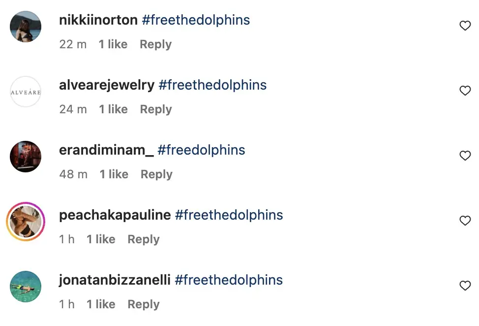 Social media users are voicing their opinions on the resort's Instagram page. Credit: Instagram