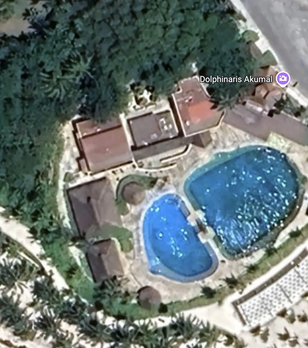 The dolphin show pool. Credit: Google Maps