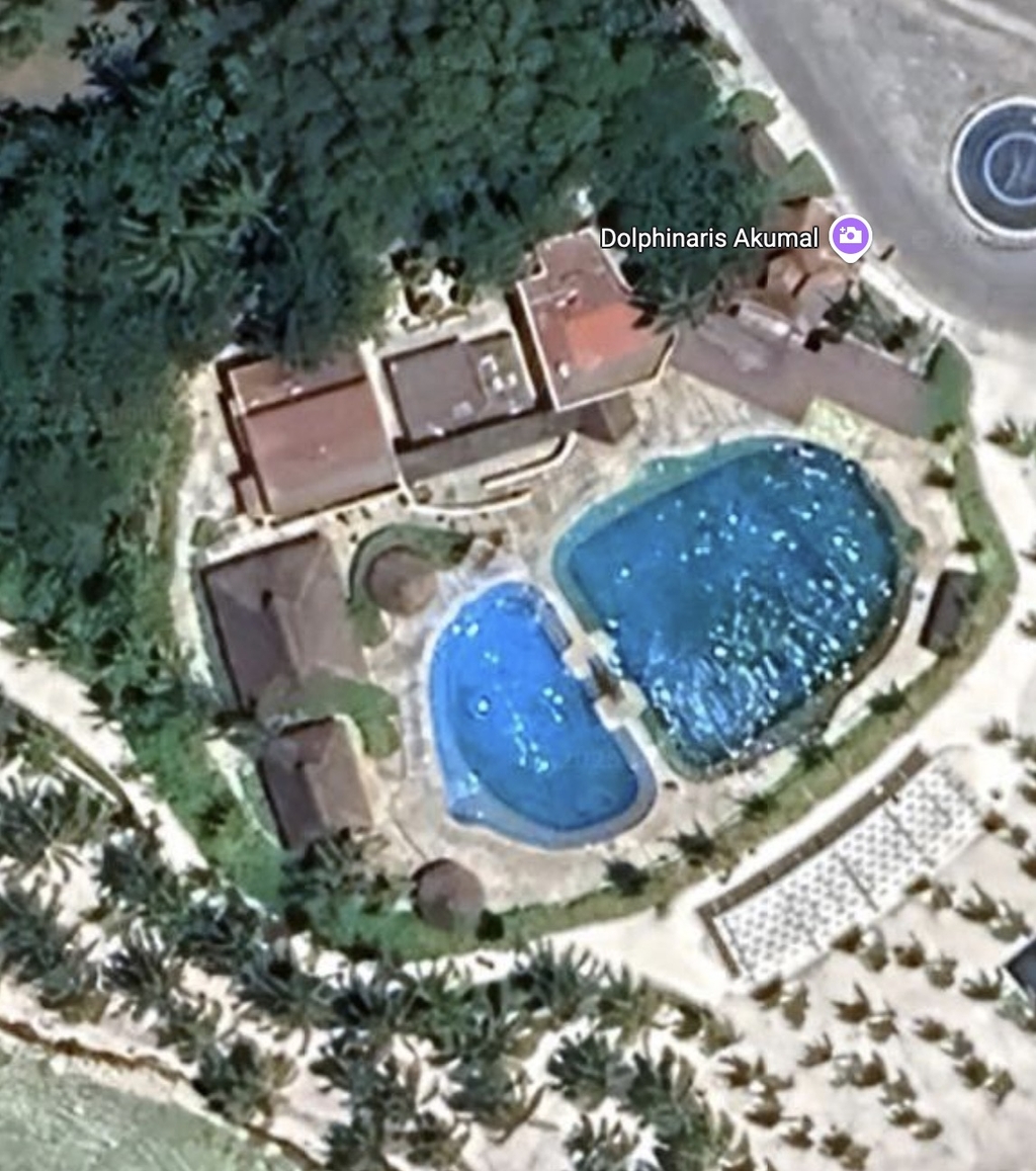 Screenshot 2025-02-05 at 11.02.35.jpg
