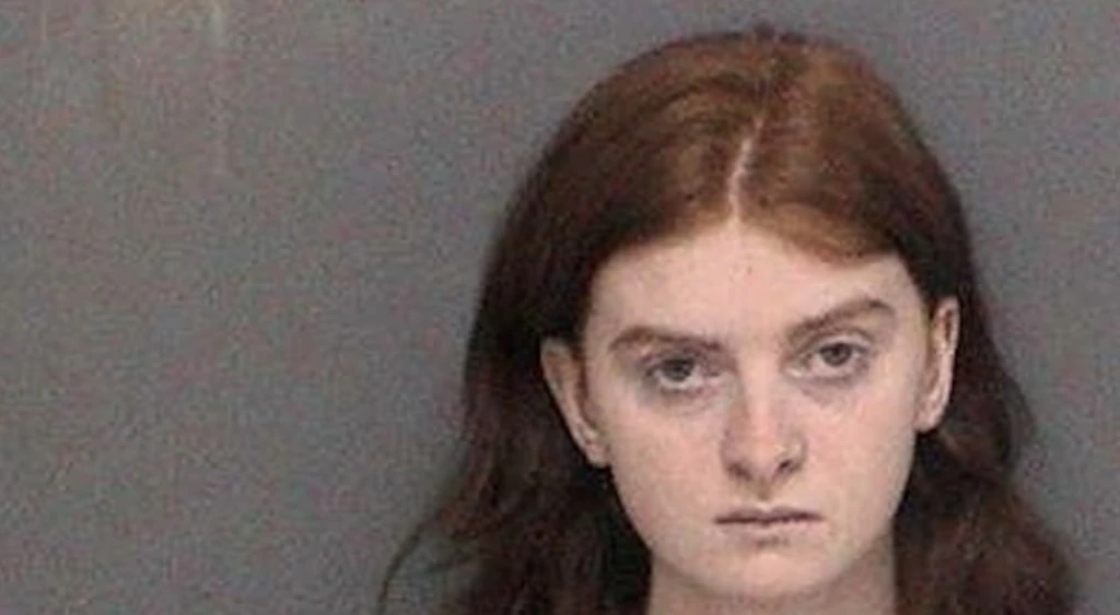 Disturbing social media posts made by Indiana teen who allegedly planned Valentine's Day mass shooting