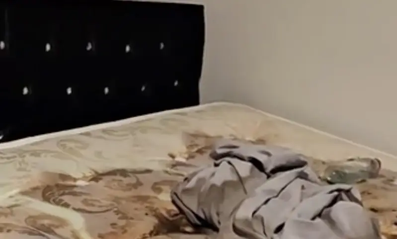 Owner of Harry Potter Airbnb greeted by 'most horrific scene' after nightmare guests checkout