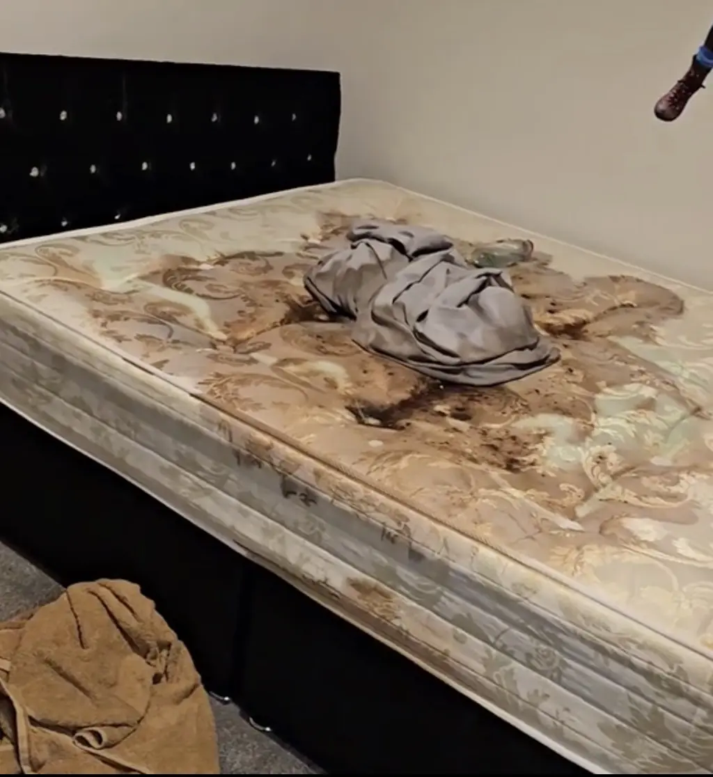 The Airbnb owner walked into a horrific scene. Credit: TikTok/@homelea.stays