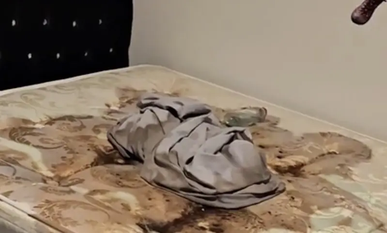 Owner of Harry Potter Airbnb greeted by 'most horrific scene' after nightmare guests checkout