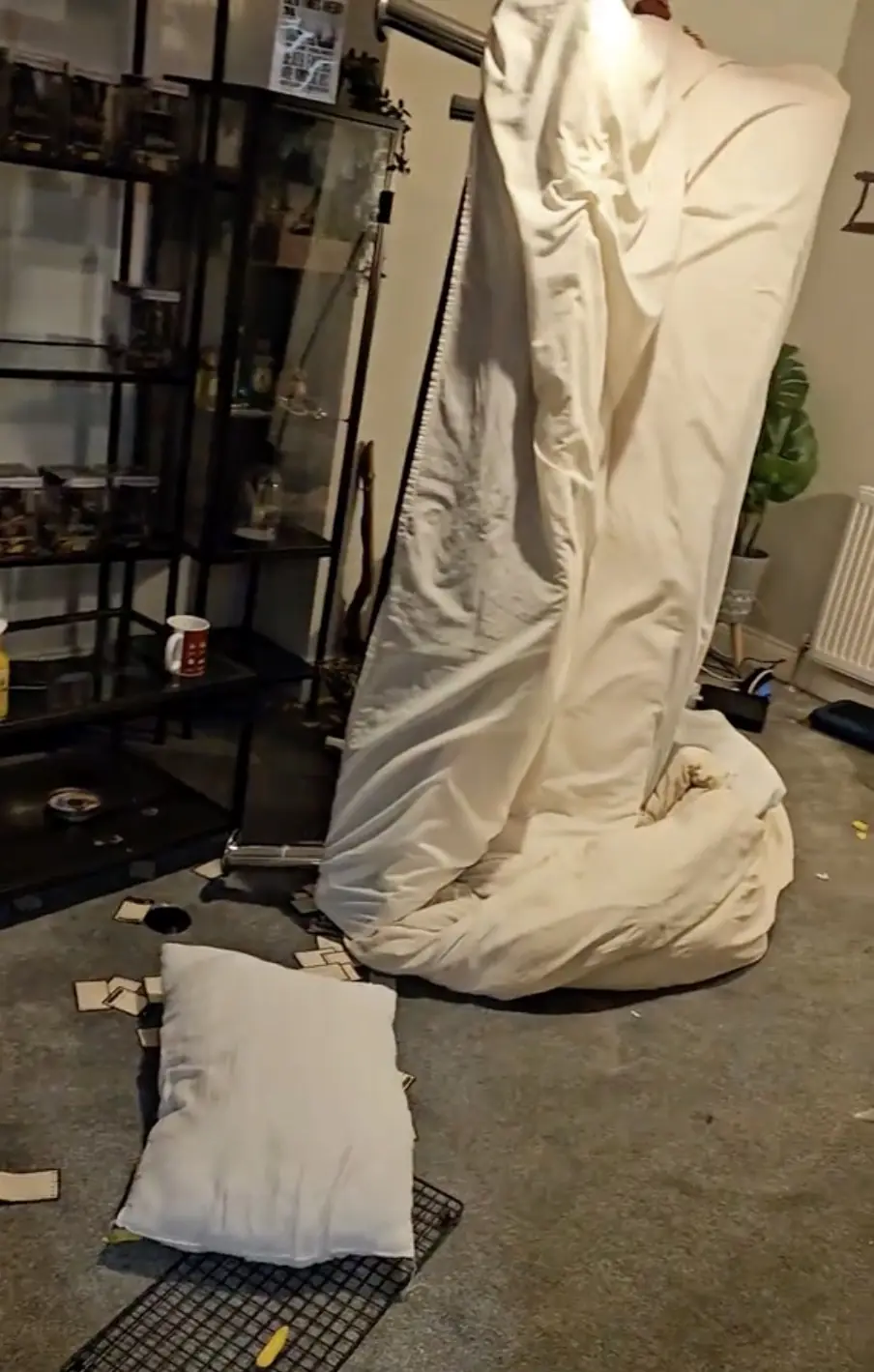 Social media users were disgusted by the scene. Credit: TikTok/@homelea.stays