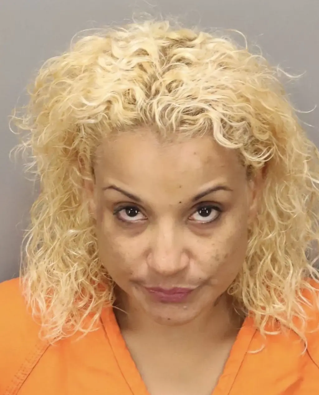 Michelle Brandes. Credit: St. Petersburg Police Department