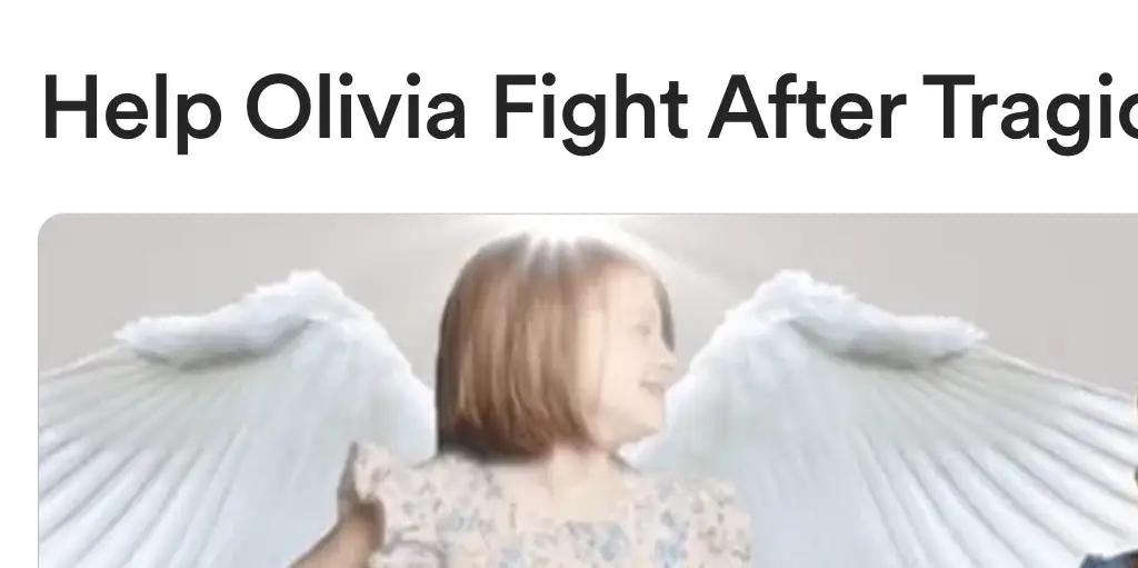 Credit: GoFundMe