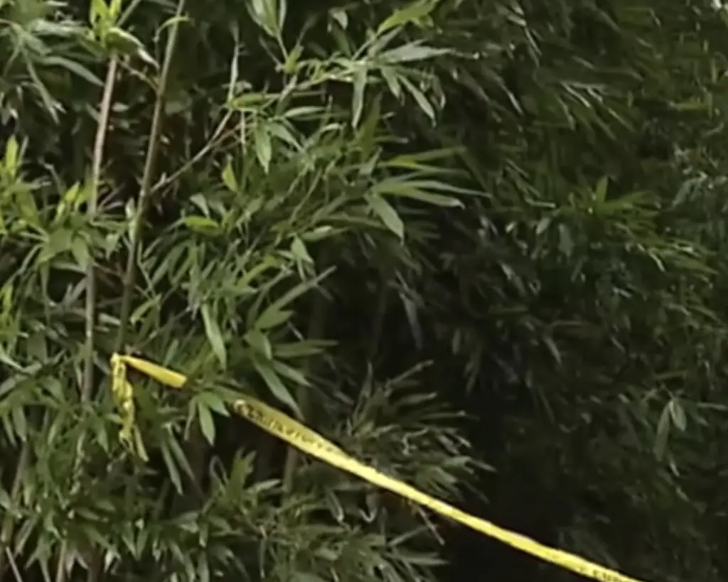 Hikers passing by have shared what they witnessed. Credit: KHON2/YouTube/Screenshot