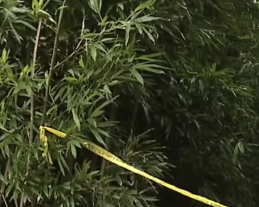 Police caught the doctor later that day. Credit: KHON2/YouTube/Screenshot