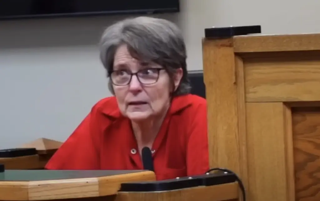 Florida grandma sentenced after baby died after being left in hot car - less than a year after her other grandchild died while in her care, family speak out