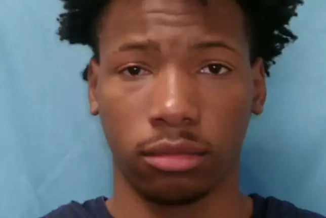 Lawyer of teen accused of fatally stabbing twin at track meet says tragedy could have been 'self defense' as he calls for $1,000,000 bond to be lowered