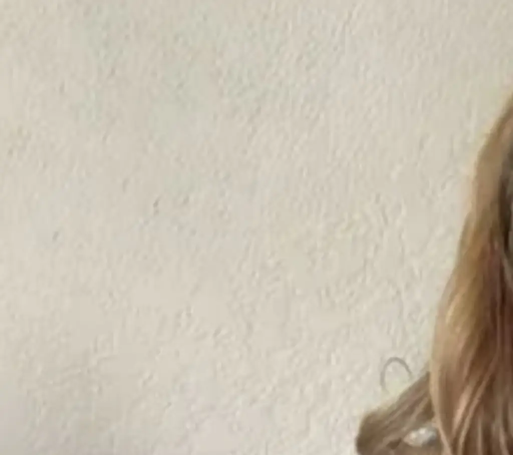 Reagan Herrin died after being left in the submerged car. Credit: GoFundMe