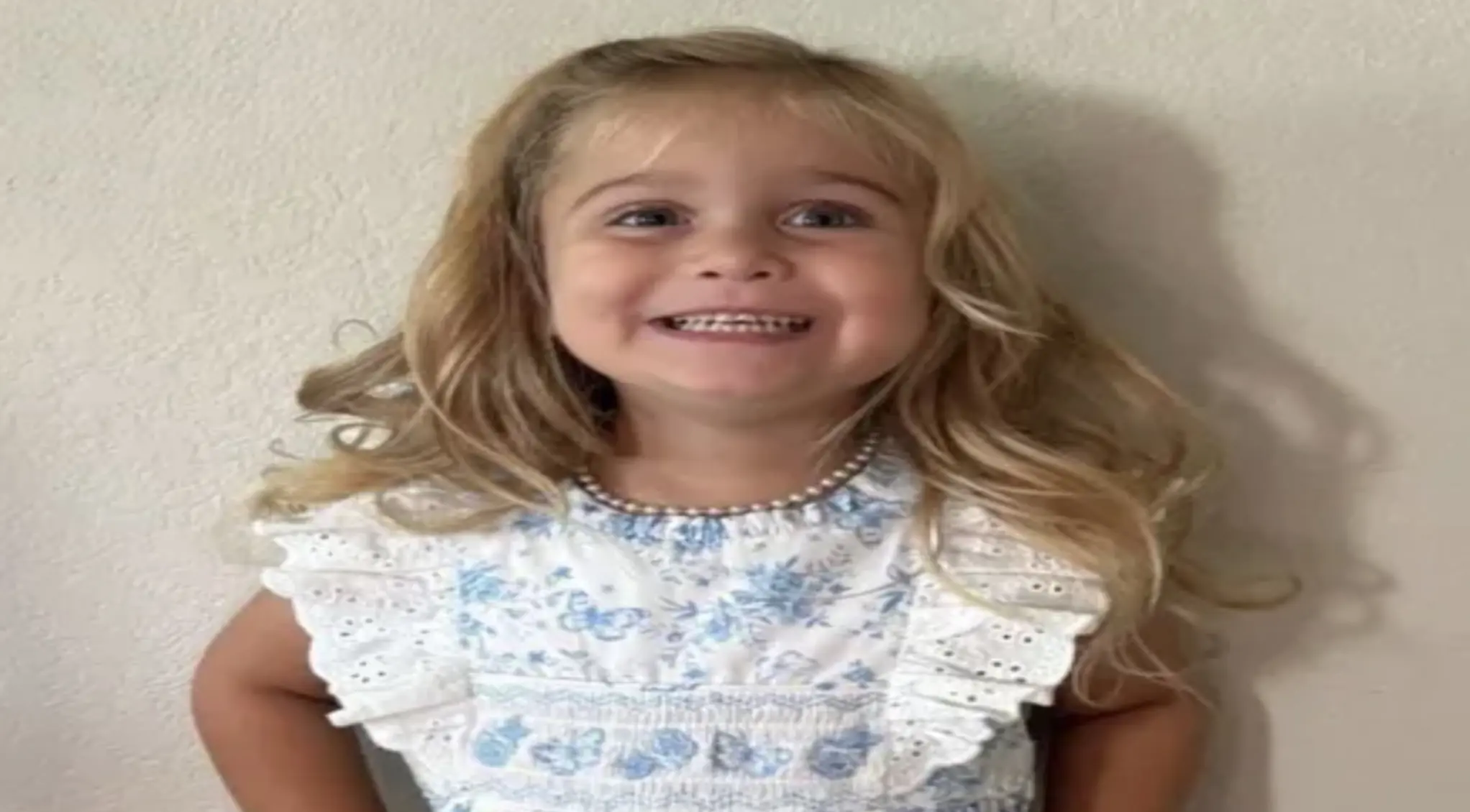 Reagan Herrin died after being left in the submerged car. Credit: GoFundMe