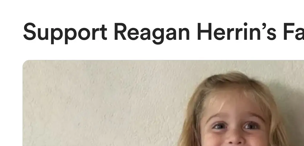 Credit: GoFundMe