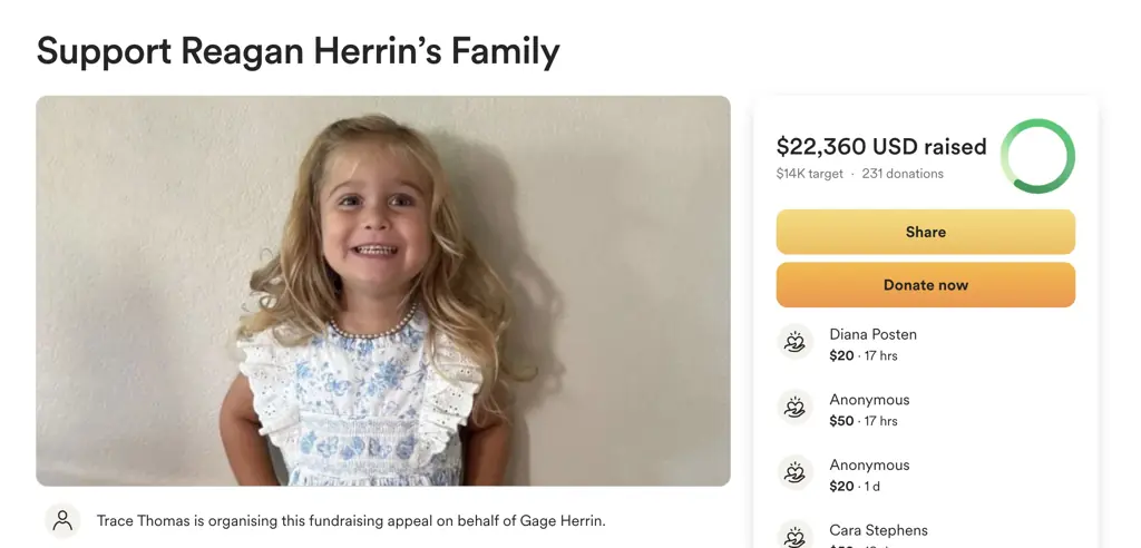 Credit: GoFundMe