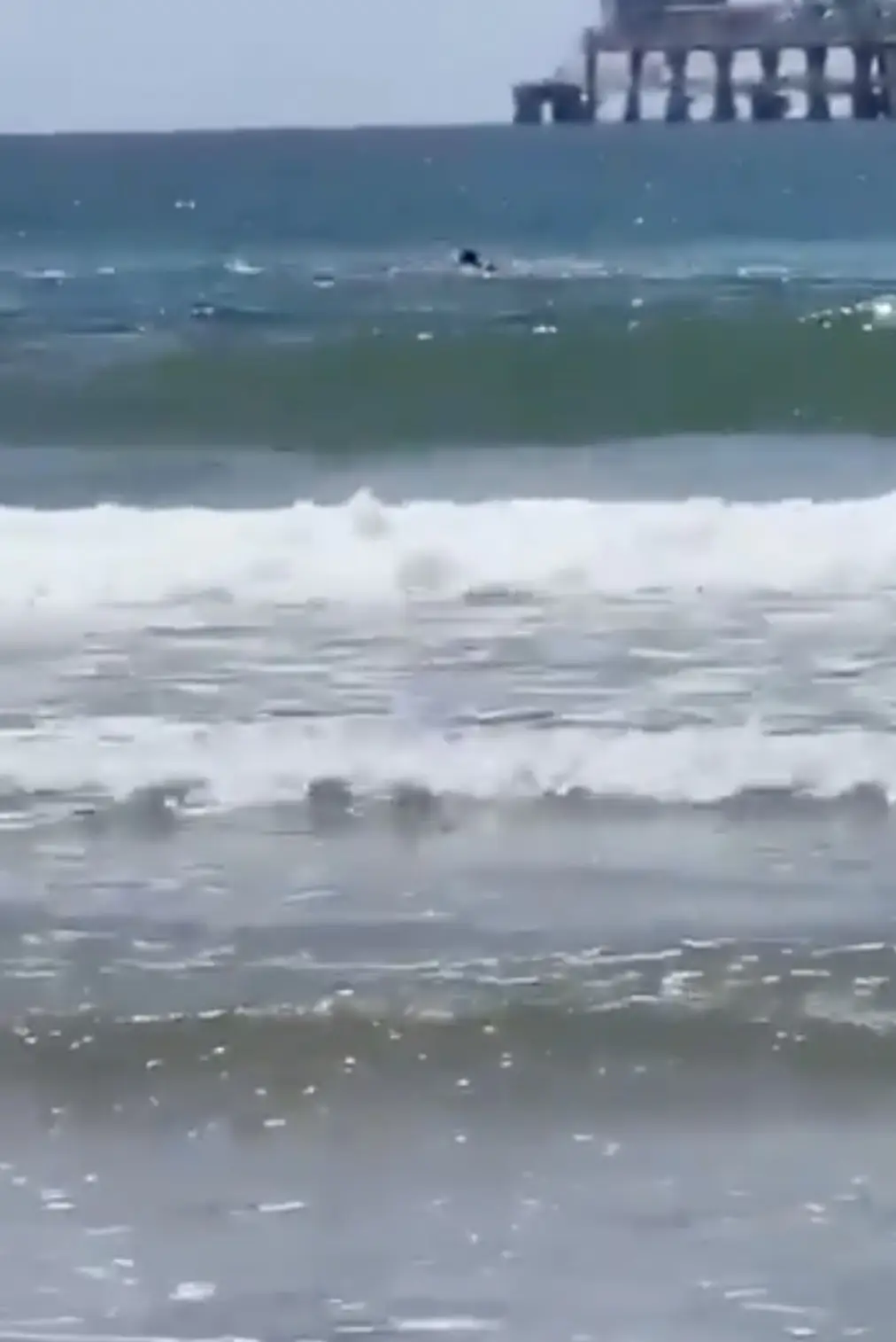 Swimmer's harrowing words caught by beachgoers as remains are found following shark attack