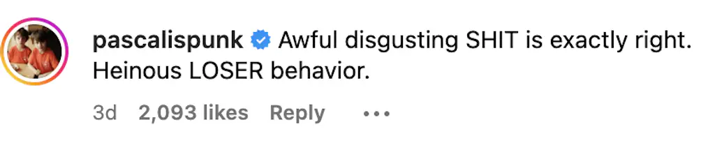 Pedro Pascal's comment under the video. Credit: Instagram
