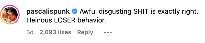 Pedro Pascal's comment under the video. Credit: Instagram