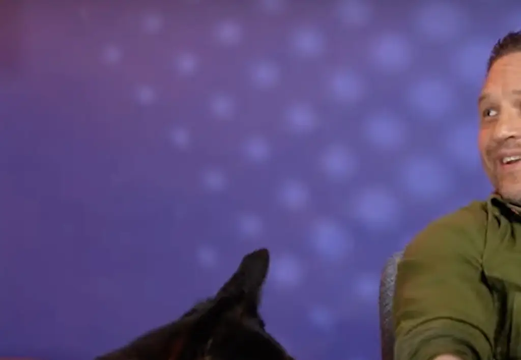 Hardy teamed up with pups from The Thin Blue Paw charity for the most adorable video of the year. Credit: VT