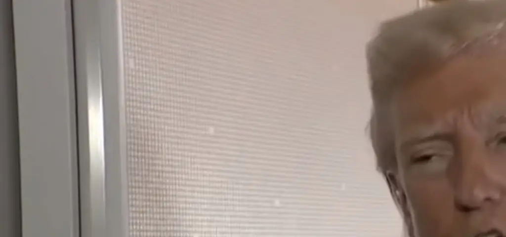 President Trump accused of making Pope Francis' funeral 'all about himself' after 5-word comment on Air Force One