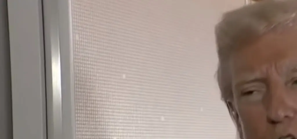 President Trump accused of making Pope Francis' funeral 'all about himself' after 5-word comment on Air Force One