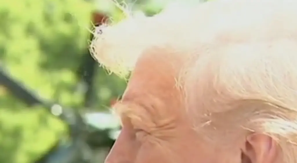 Donald Trump gives the most Donald Trump response when asked who he thinks should be the next Pope