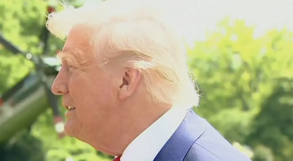 Donald Trump gives the most Donald Trump response when asked who he thinks should be the next Pope