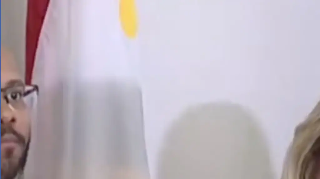 Viewers baffled by police captain's choice of glasses as she shares update on inmates who escaped New Orleans jail