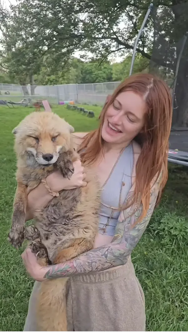 Credit: @saveafox_rescue / Instagram.