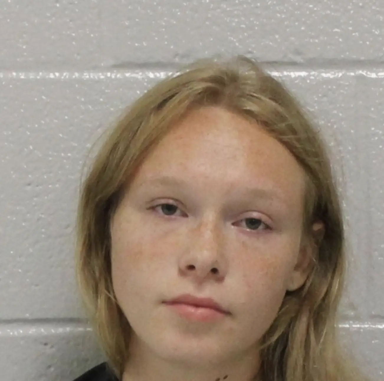 Teen's chilling social media posts emerge after being charged with double murder of her parents