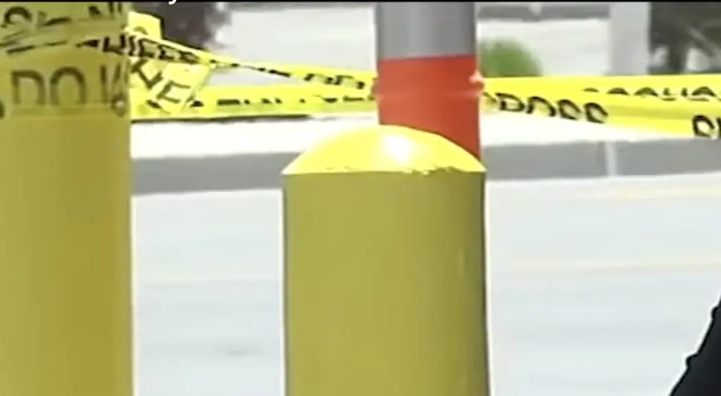 Teddy bear 'made of human skin' is left outside store in California leaving cops concerned