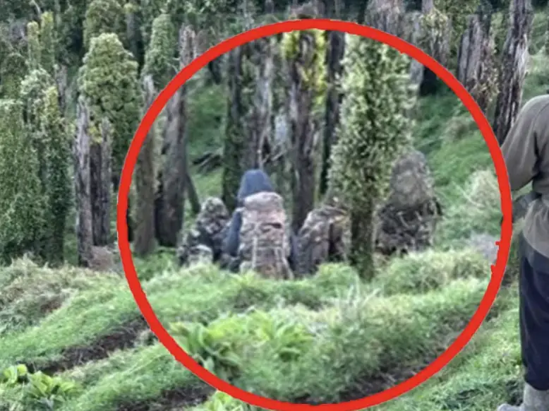 Mom's chilling theory after her children were spotted in wilderness with dad after vanishing years ago