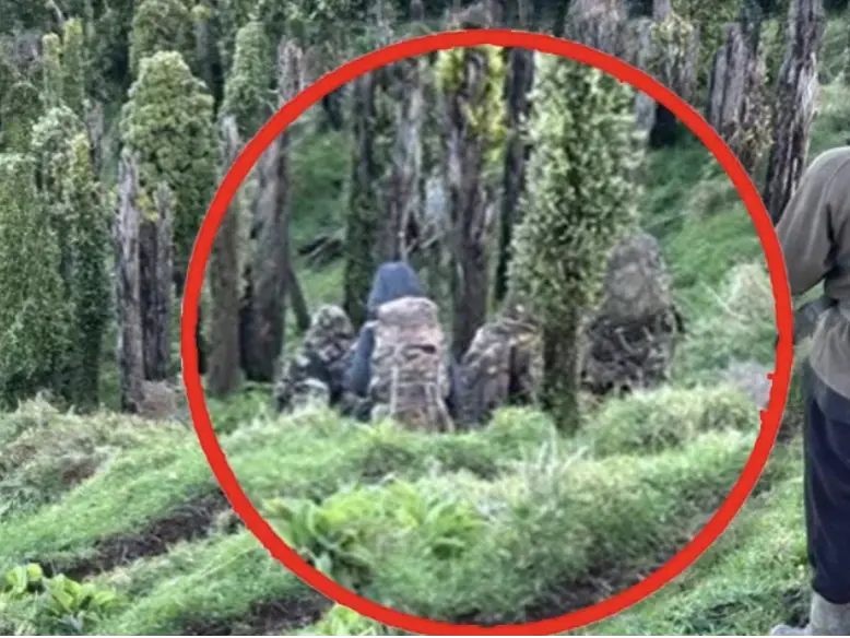 Mom's chilling theory after her children were spotted in wilderness with dad after vanishing years ago