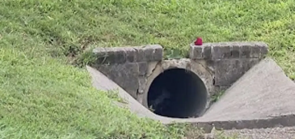 Maryland Boy, 13, dies after he's swept into storm drain while playing amid 'rapidly rising floodwaters'