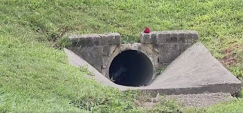 Maryland Boy, 13, dies after he's swept into storm drain while playing amid 'rapidly rising floodwaters'