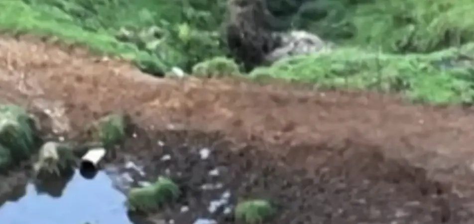 Police admit strange detail after shooting dead fugitive dad who went on run in wilderness with his kids