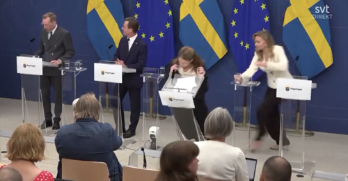 Sweden’s newly-appointed health minister passes out while being introduced at government press conference