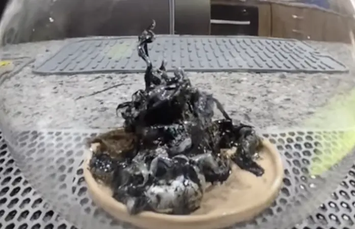 Viral video shows 'alien' growing out of a meteorite discovered in Panama - but is it real?