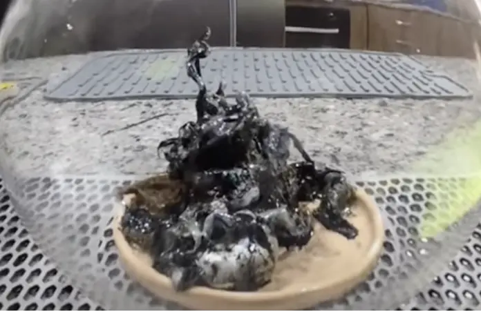 Viral video shows 'alien' growing out of a meteorite discovered in Panama - but is it real?