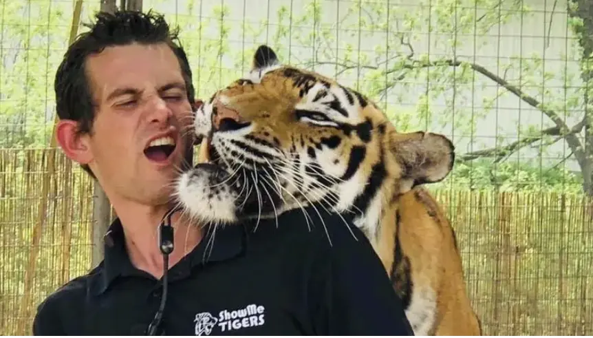 Tiger King Joe Exotic's 'associate' killed by big cat at Oklahoma reserve