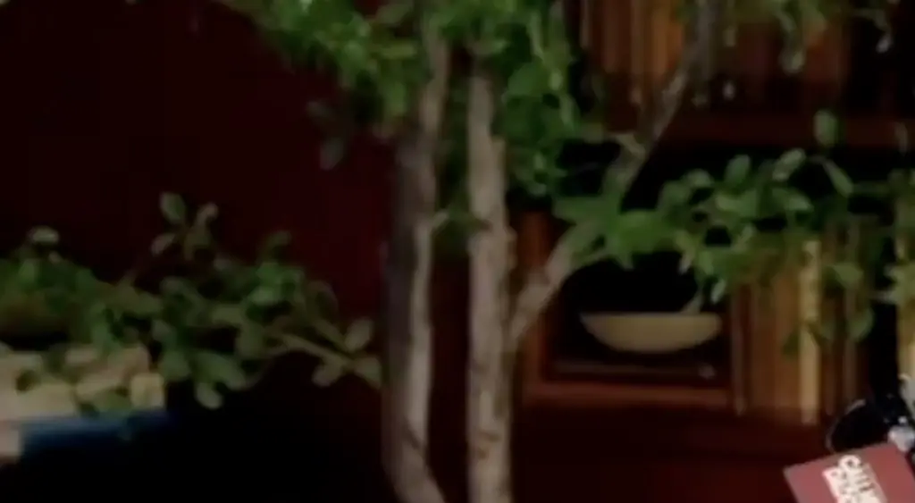 Cardi B leaves fans gobsmacked after explaining her ultimate bedroom fantasy in graphic detail