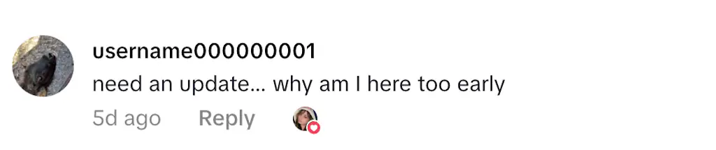 Credit: TikTok