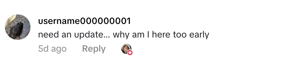 Credit: TikTok
