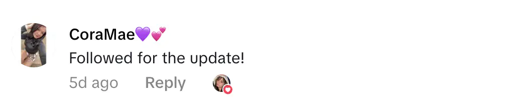 Credit: TikTok