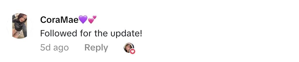 Credit: TikTok