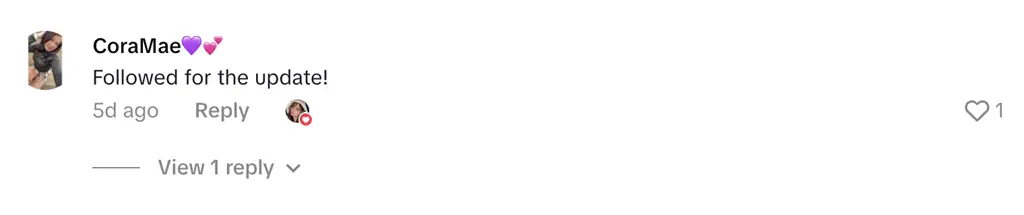 Credit: TikTok